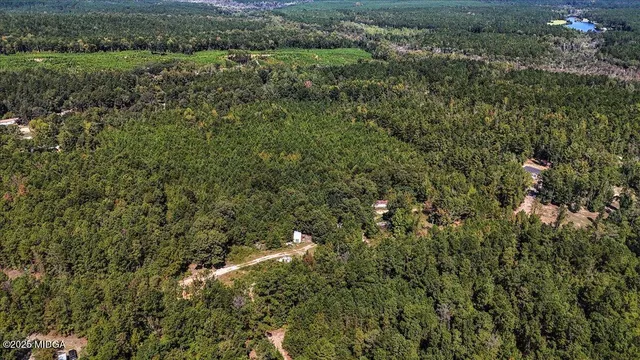 a view of a city with lush green forest