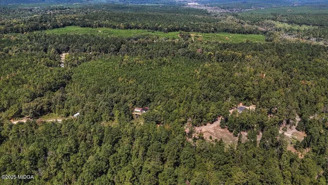 a picture of a tree in front of a house