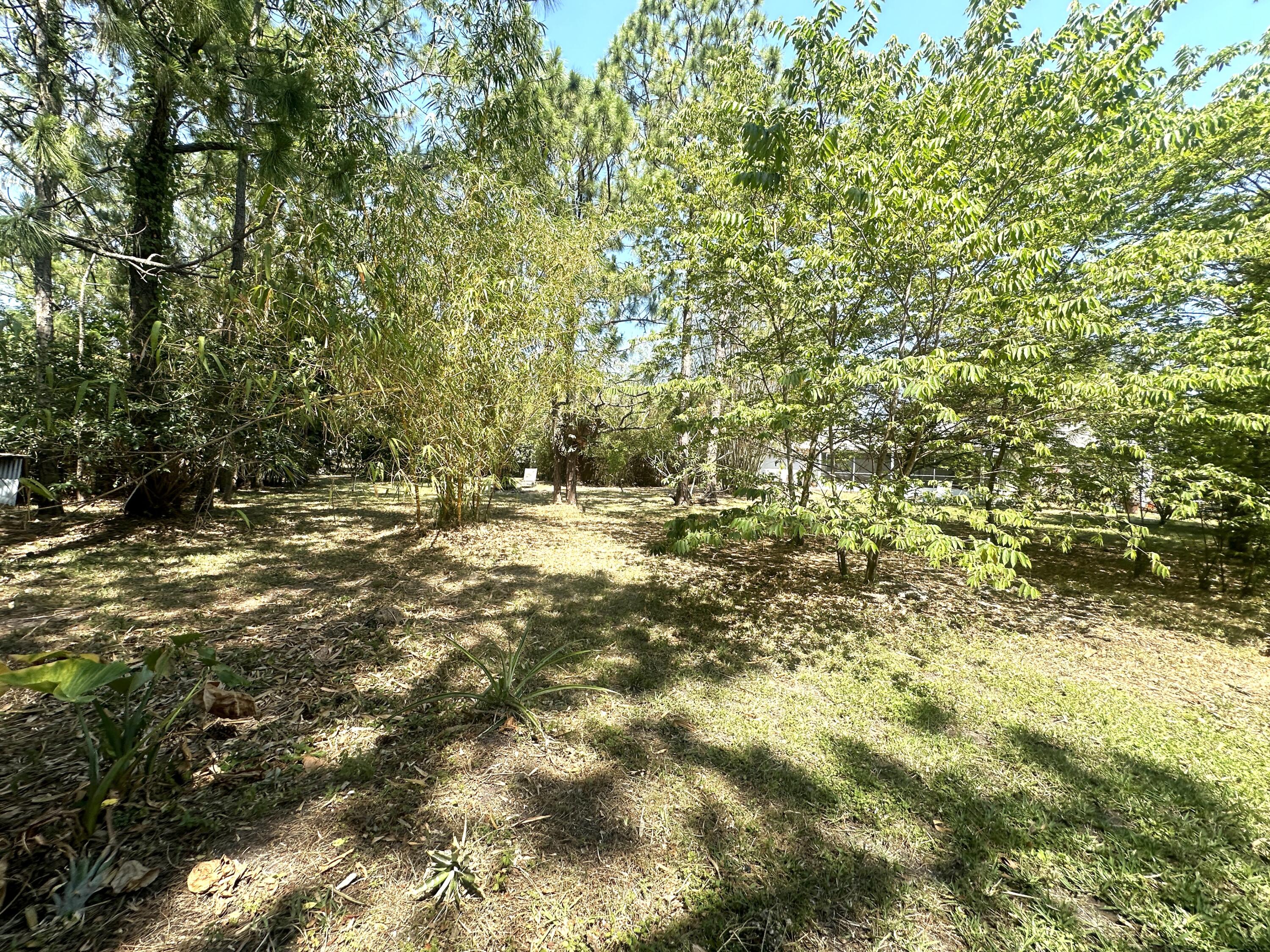 16930 93rd Road North Loxahatchee, FL 33470 - Photo 110 of 148 IMG_1079