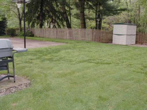 153 Kingsdale Road Churchill, PA 15221 - Photo 7 of 8 Yard/Garden.