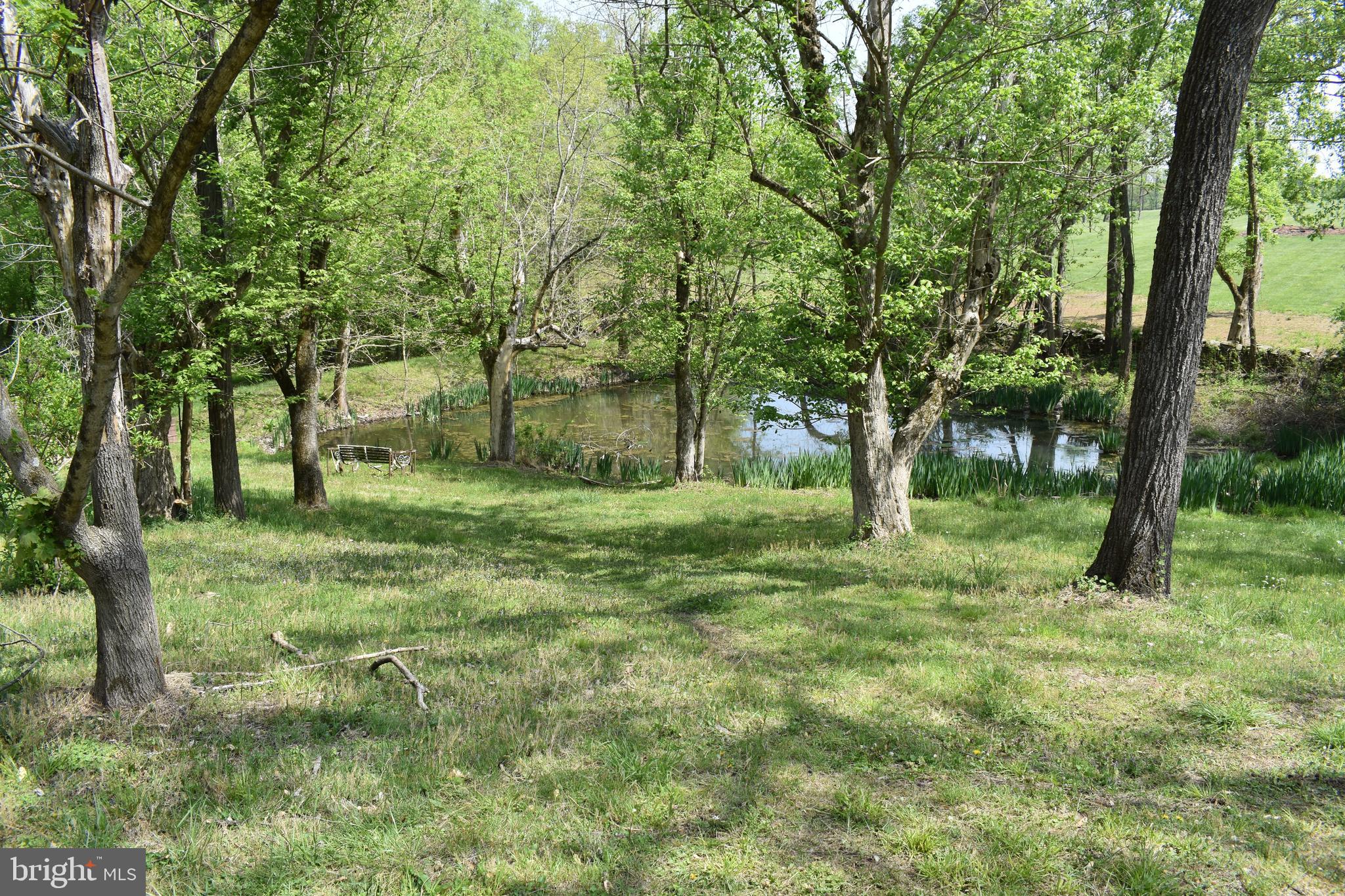 34899 Paxson Road Round Hill, VA 20141 - Photo 8 of 10 Gallery Image 8