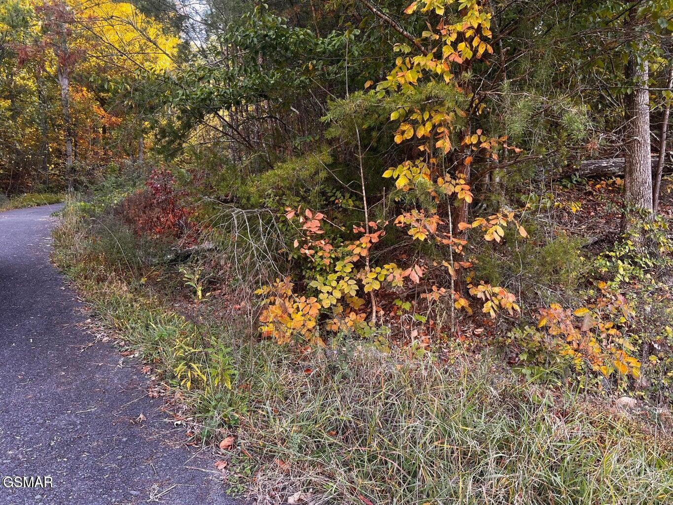 124 Sharp Road Sevierville, TN 37876 - Photo 12 of 14
