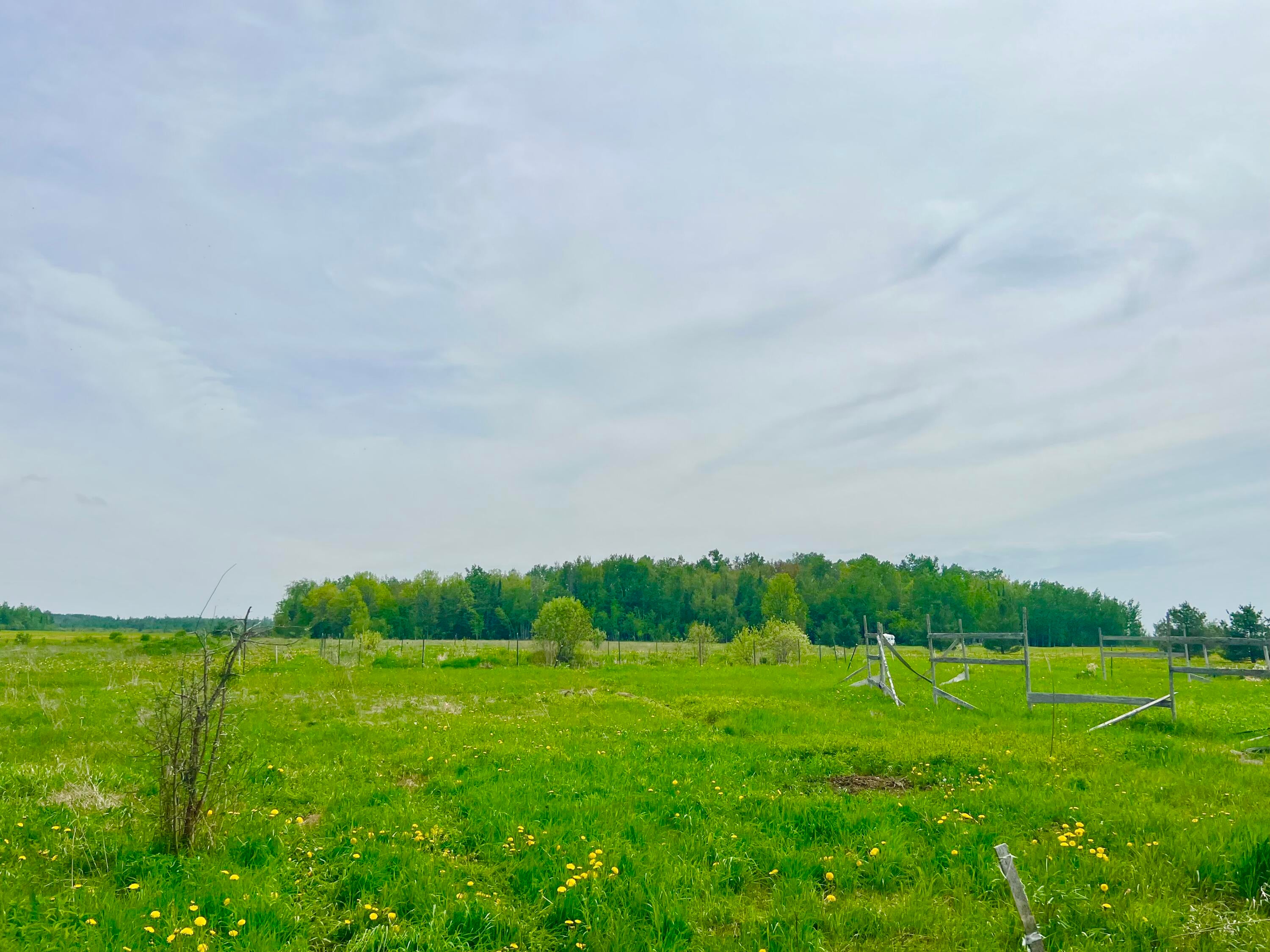 6475 West 11 Mile Road Dafter, MI 49724 - Photo 4 of 35 Gallery Image 4