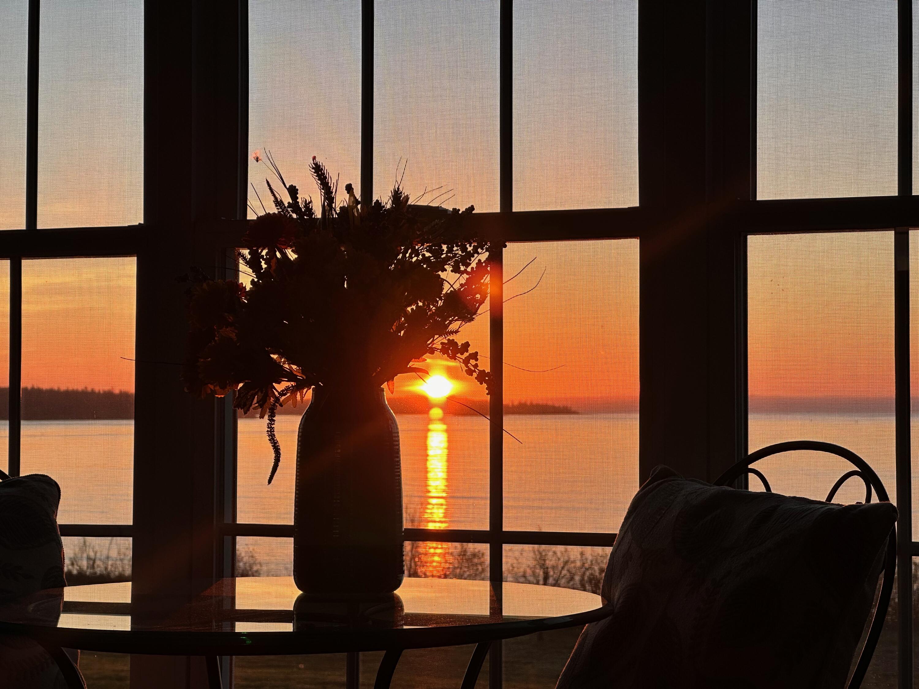 20 Easy Street Lubec, ME 04652 - Photo 18 of 63 View From Living Room