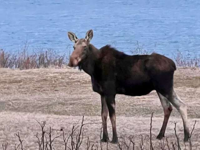 $1,200,000 | 20 Easy Street, Lubec, ME 04652