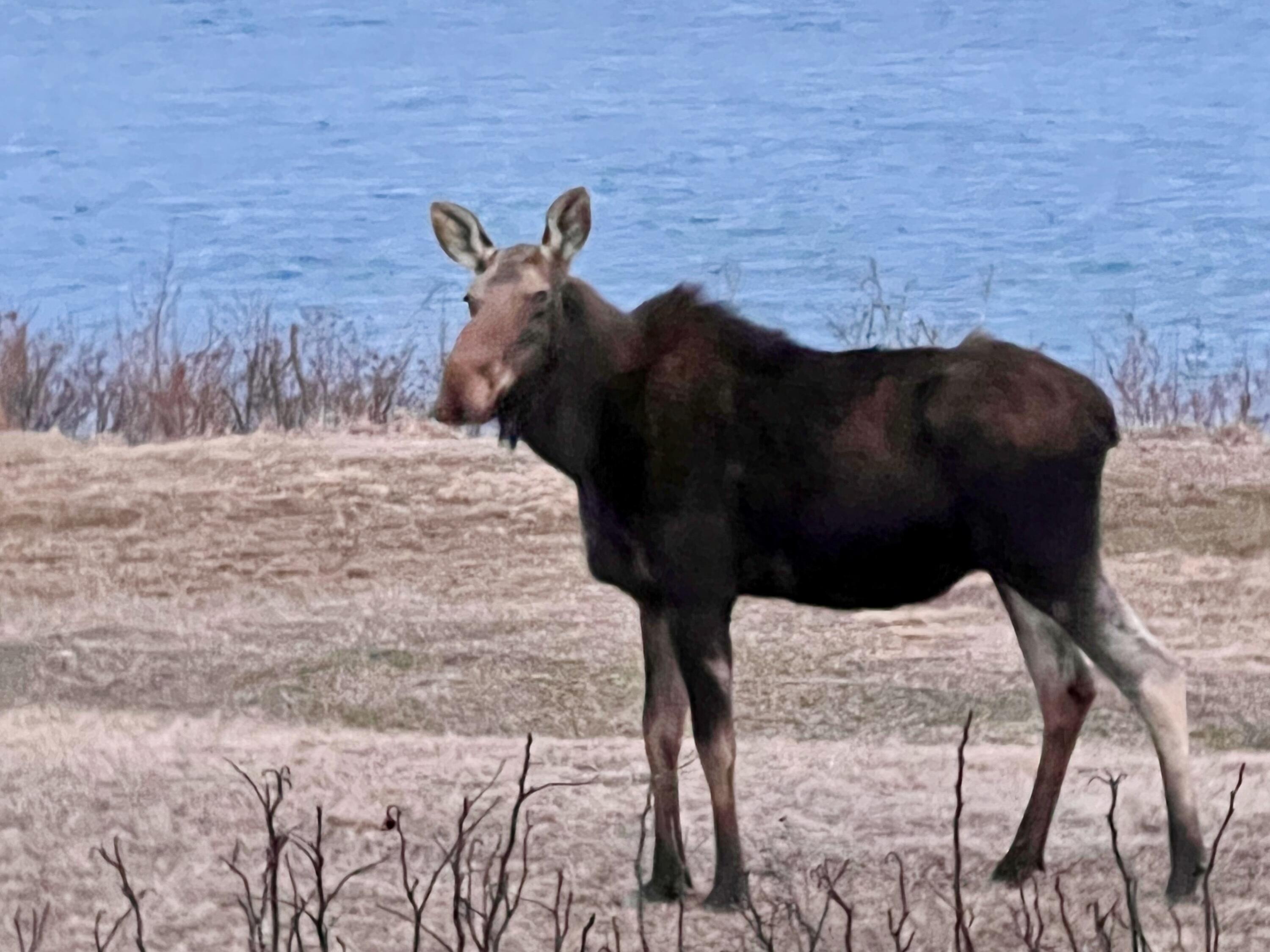 20 Easy Street Lubec, ME 04652 - Photo 57 of 63 20 Easy Street, Lubec