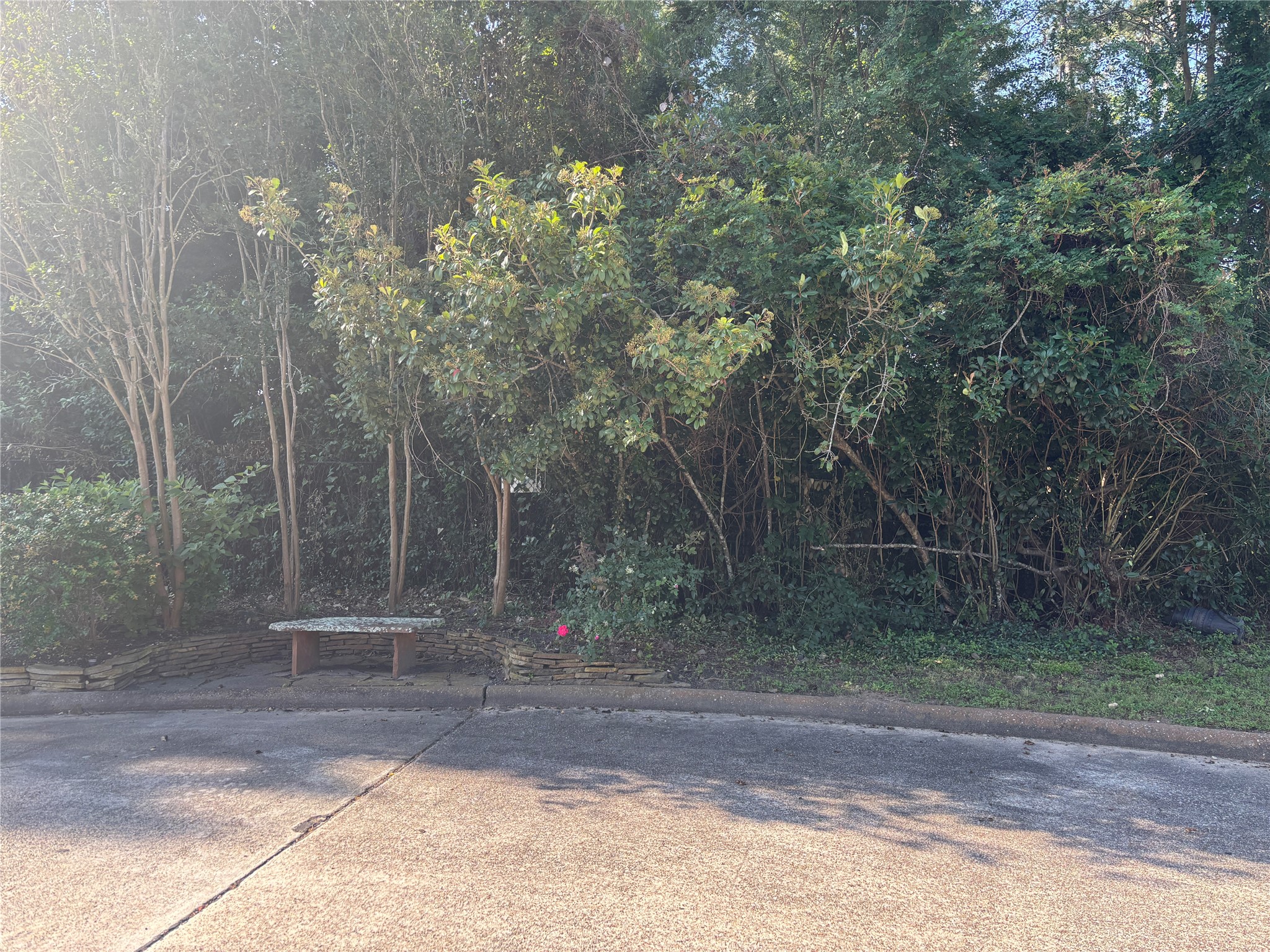 901 Longmire Road Conroe, TX 77304 - Photo 5 of 7 Area next to lot