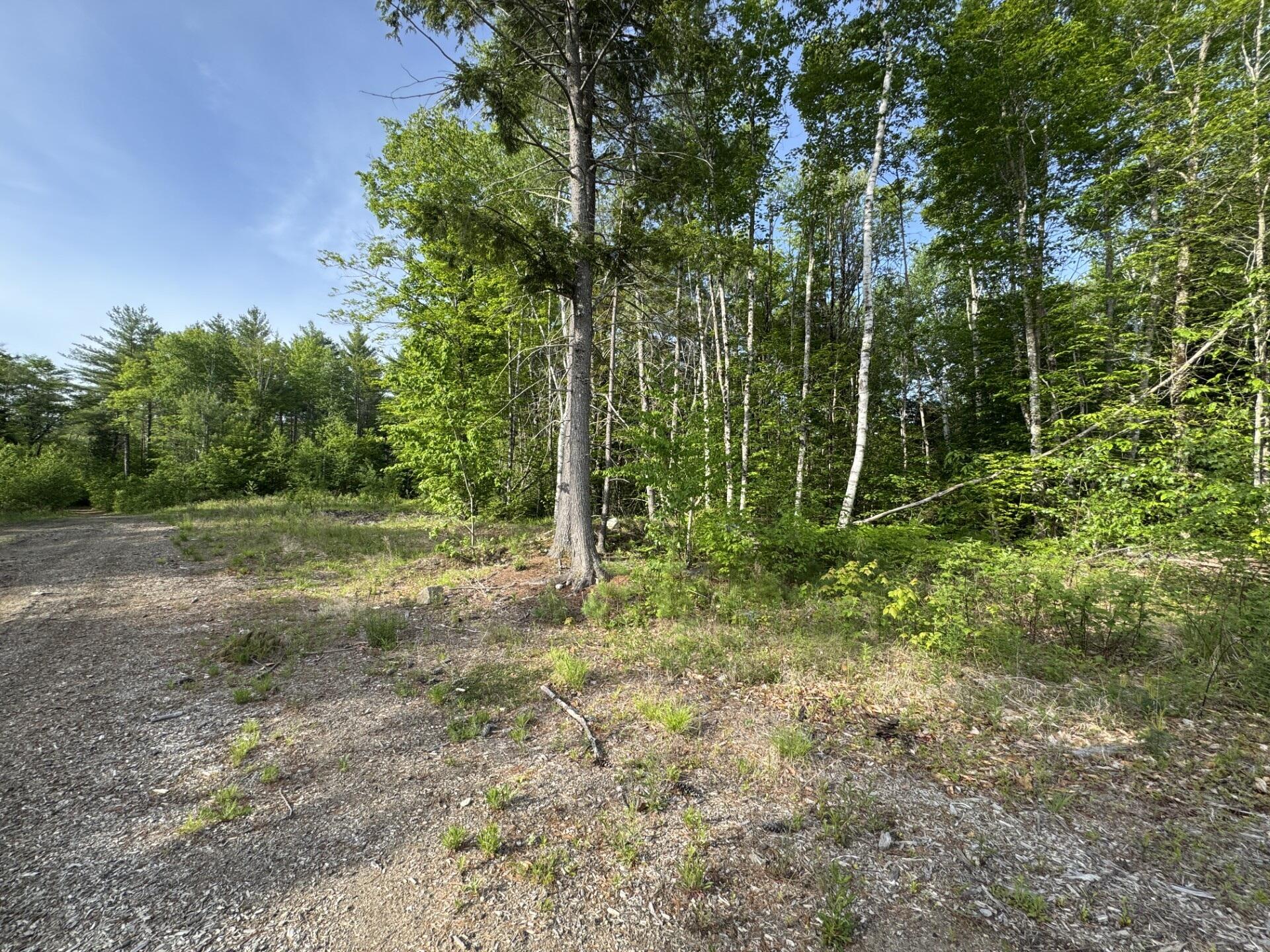 Lot 3 Albion Road Unity, ME 04988 - Photo 3 of 13 Great ROW and camp locations