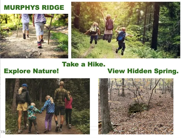 $75,000 | Lot 12 Poppy Mallow Lane, Oxford, NC 27565