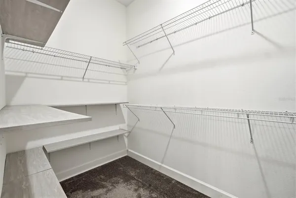 a bathroom with a shower and toilet