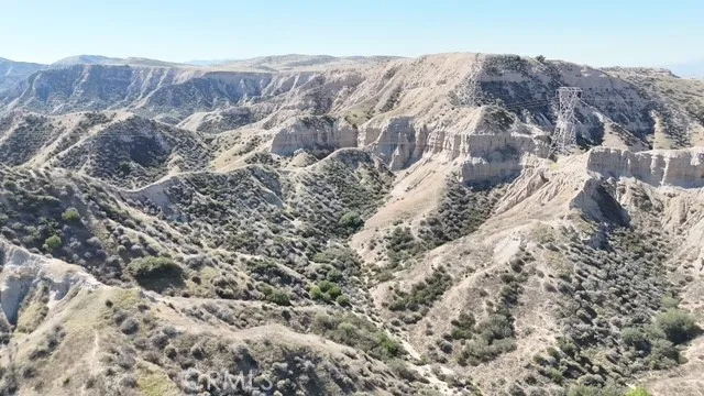 a view of a tree with a tree