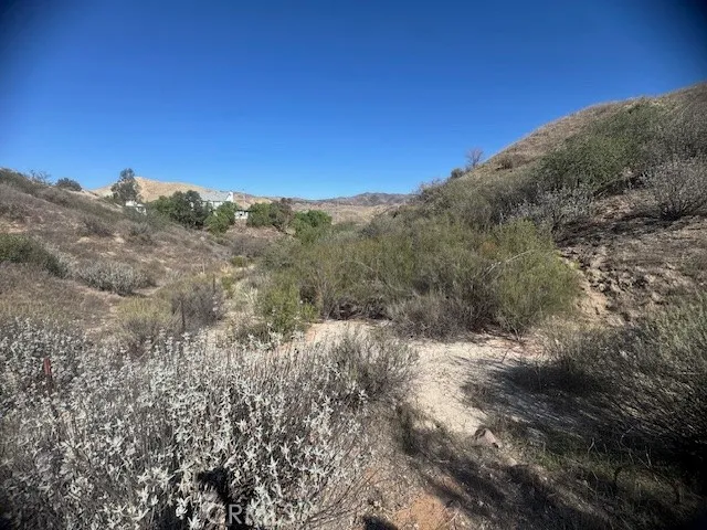 a view of a yard with plants and trees