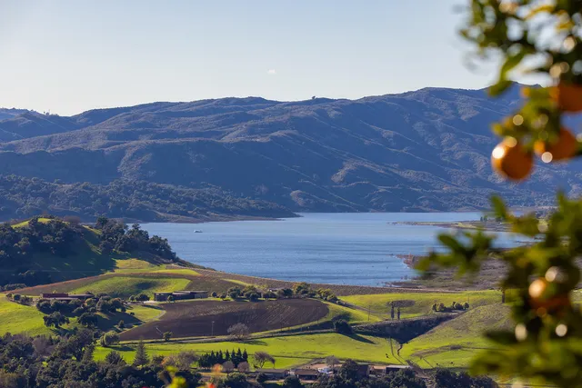 a picture of flowers