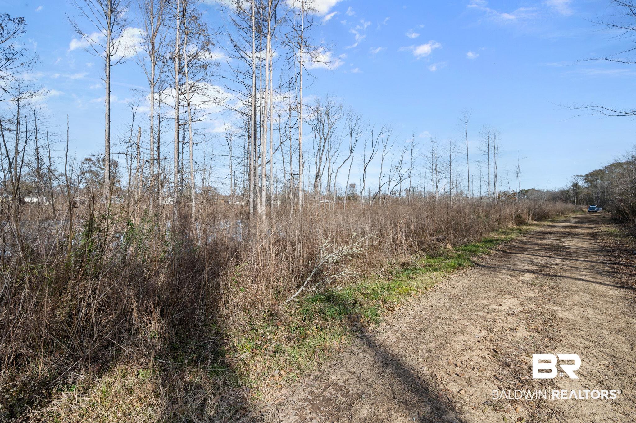 0 Bryant's Lndg Road Stockton, AL 36579 - Photo 4 of 29