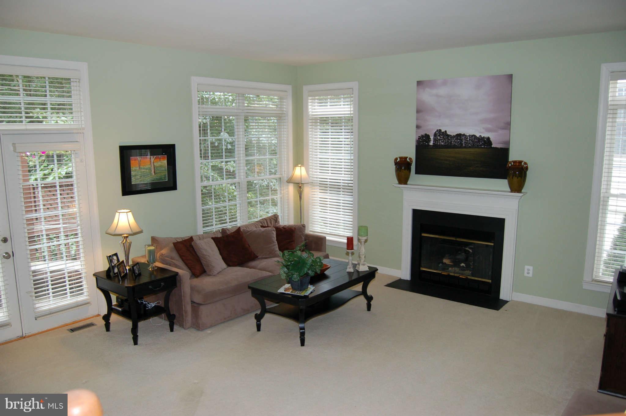 47679 Rhyolite Place Sterling, VA 20165 - Photo 11 of 11 Living Room