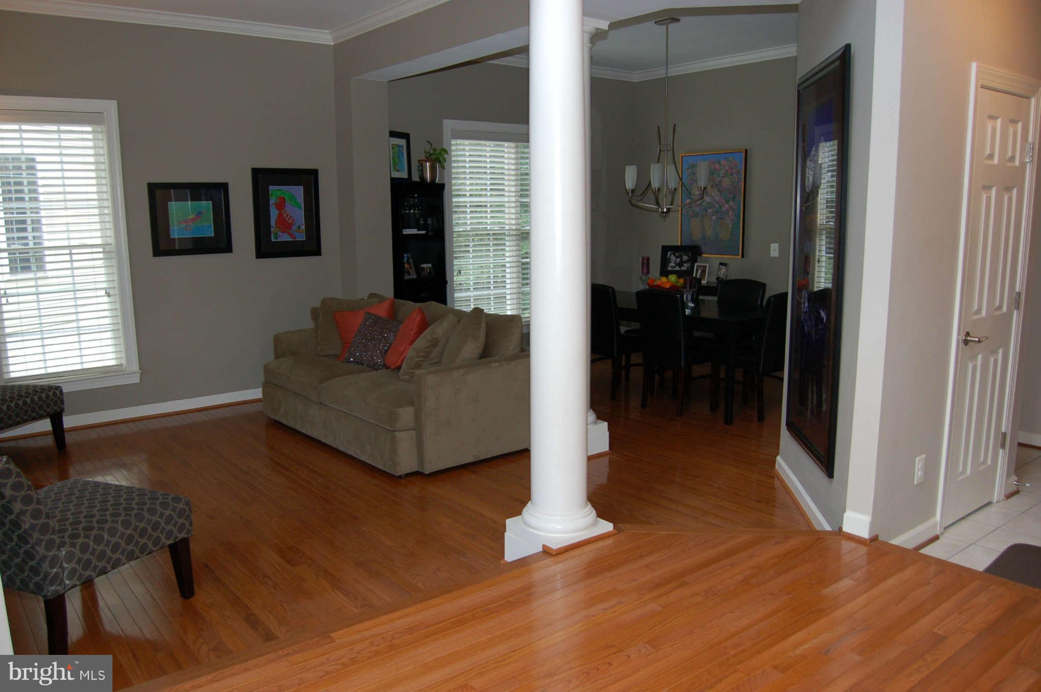 47679 Rhyolite Place Sterling, VA 20165 - Photo 4 of 11 Family Room