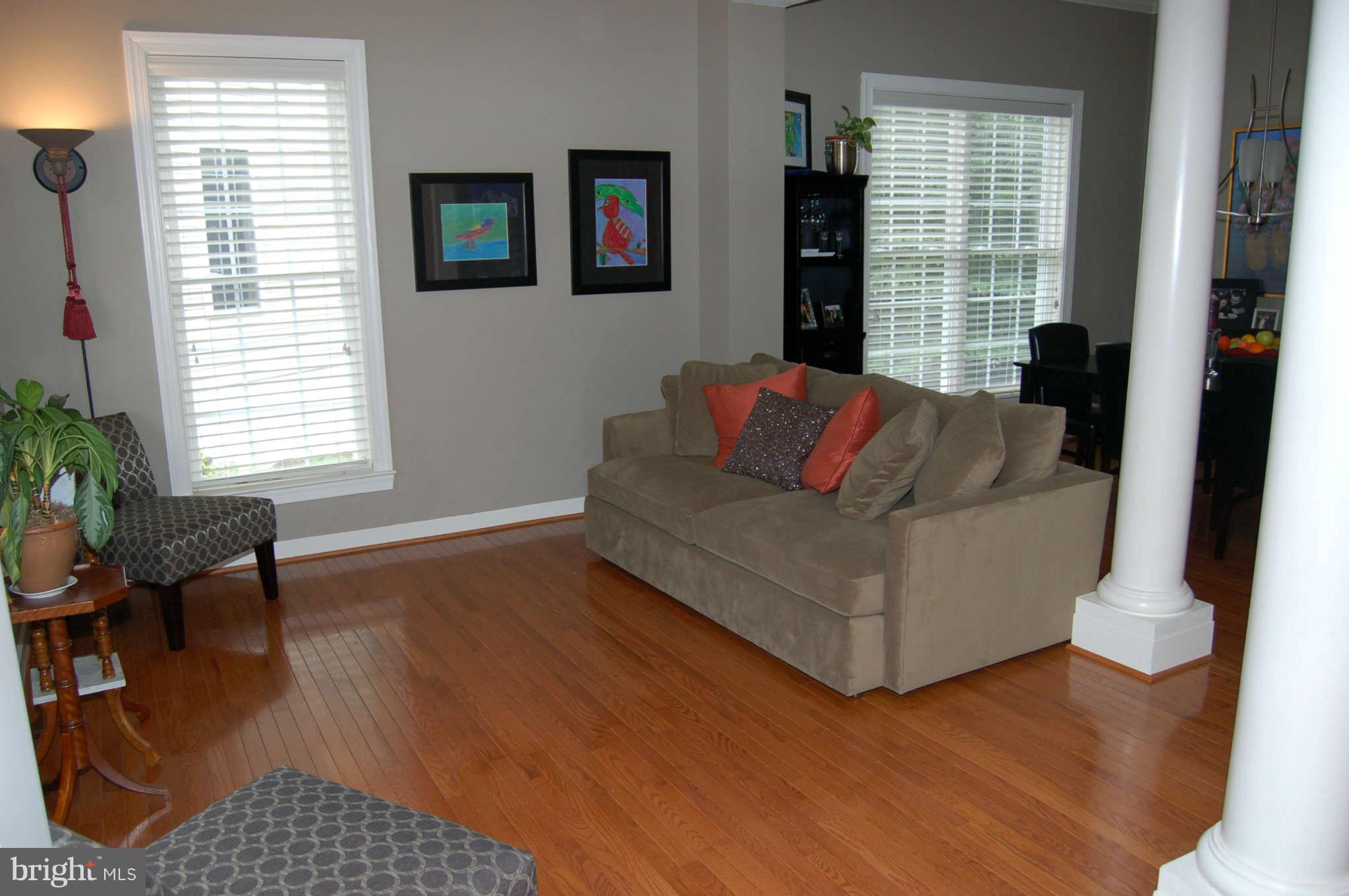 47679 Rhyolite Place Sterling, VA 20165 - Photo 6 of 11 Family Room
