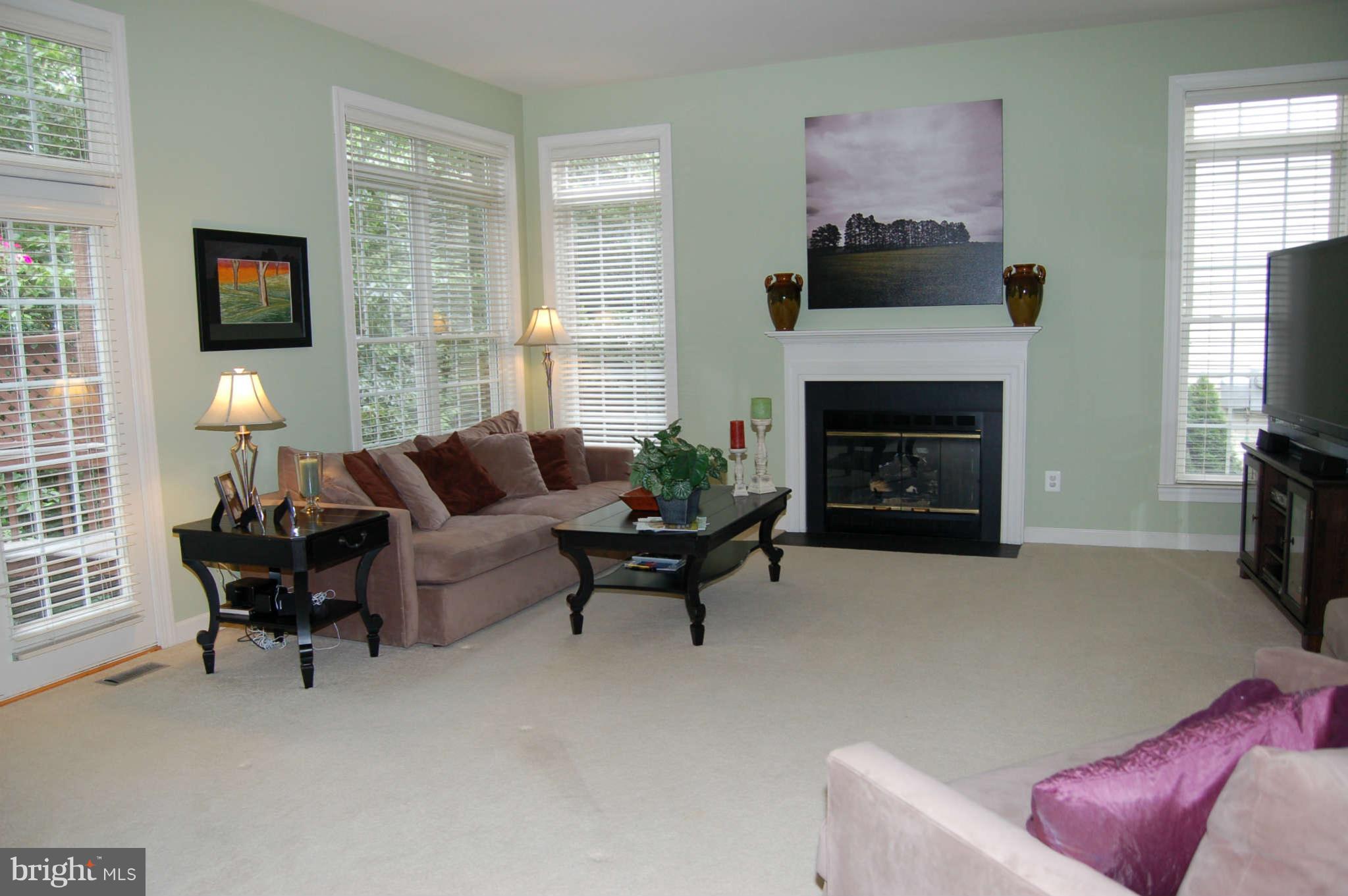 47679 Rhyolite Place Sterling, VA 20165 - Photo 9 of 11 Living Room