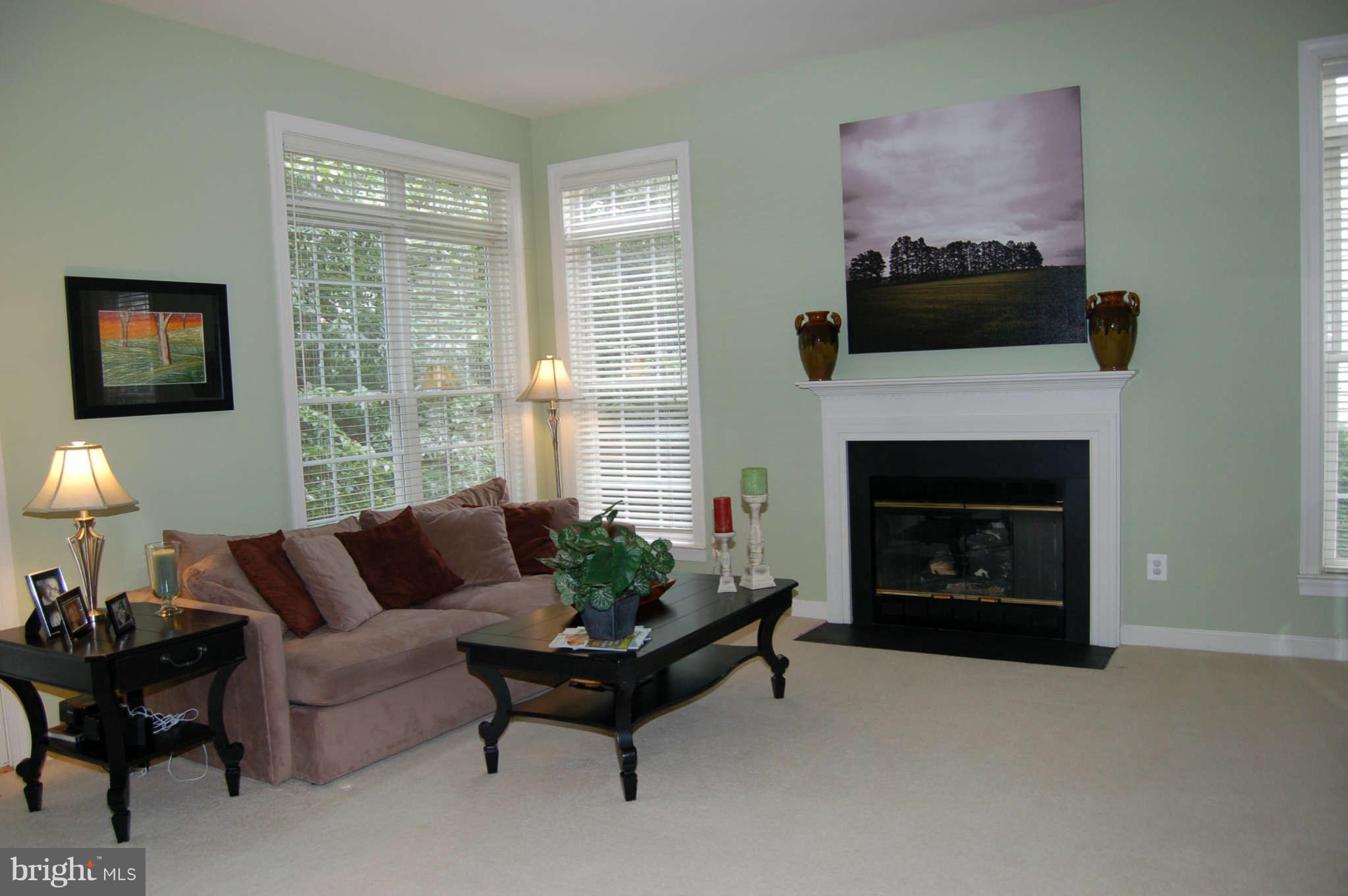 47679 Rhyolite Place Sterling, VA 20165 - Photo 10 of 11 Living Room