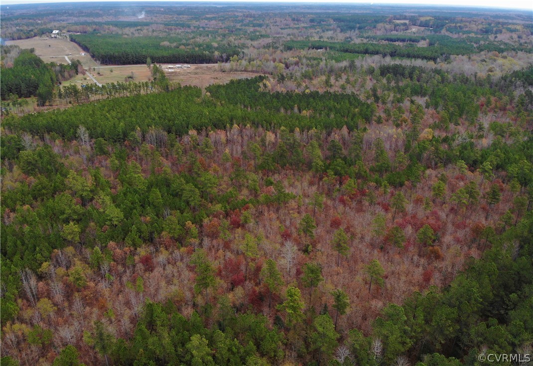 0 Doyle's Lake Road Emporia, VA 23847 - Photo 12 of 50