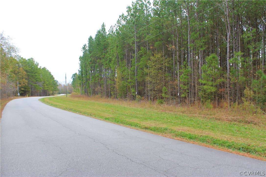0 Doyle's Lake Road Emporia, VA 23847 - Photo 13 of 50