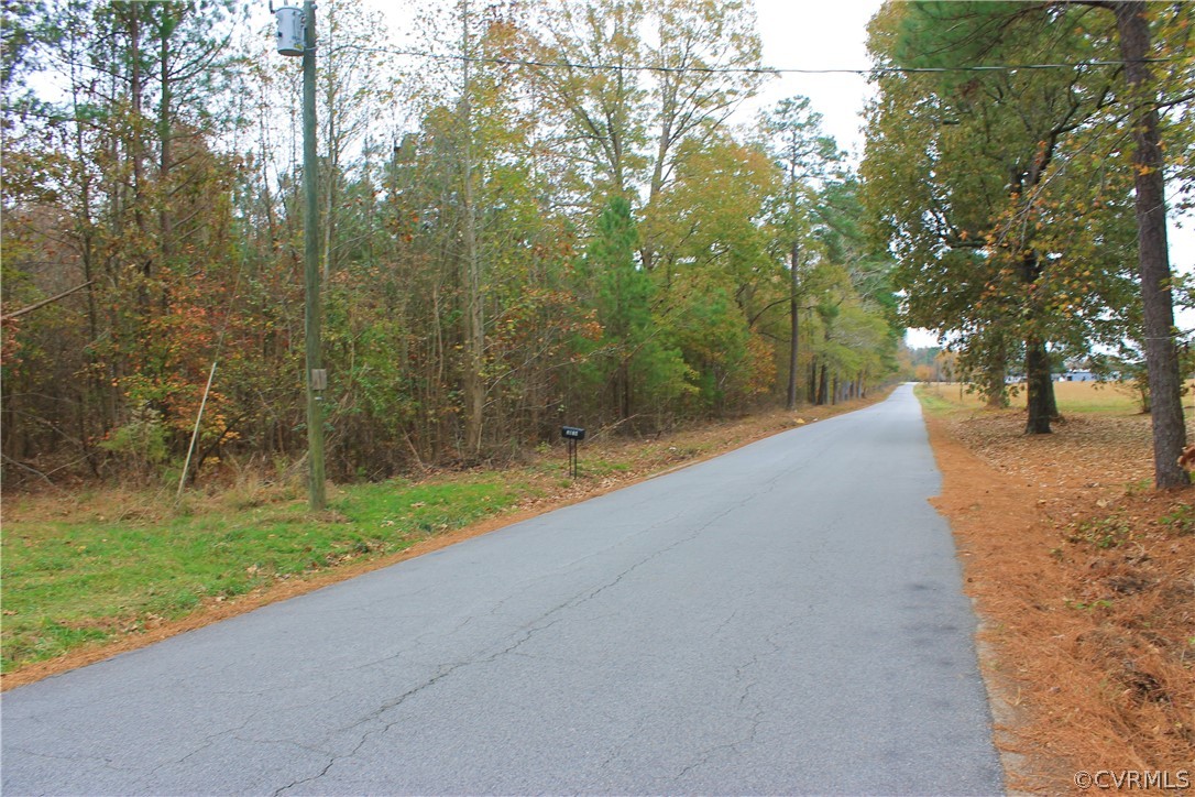 0 Doyle's Lake Road Emporia, VA 23847 - Photo 15 of 50 a view of a backyard