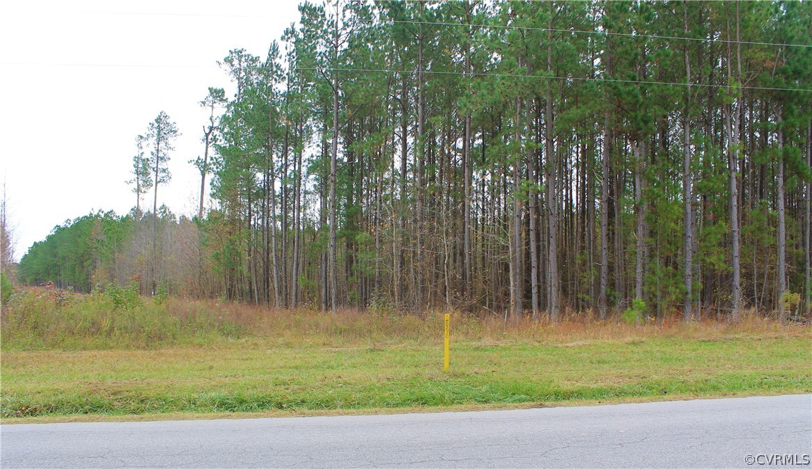 0 Doyle's Lake Road Emporia, VA 23847 - Photo 16 of 50 a view of a park with a tree