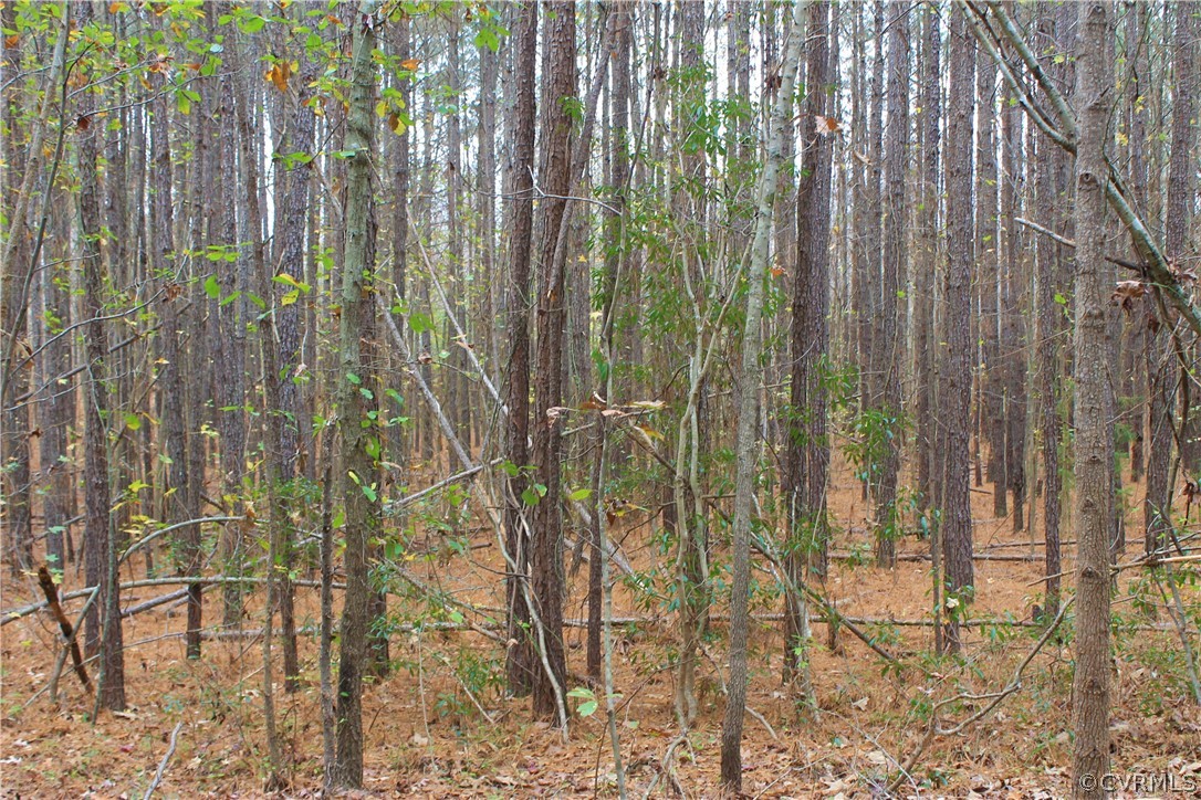 0 Doyle's Lake Road Emporia, VA 23847 - Photo 20 of 50