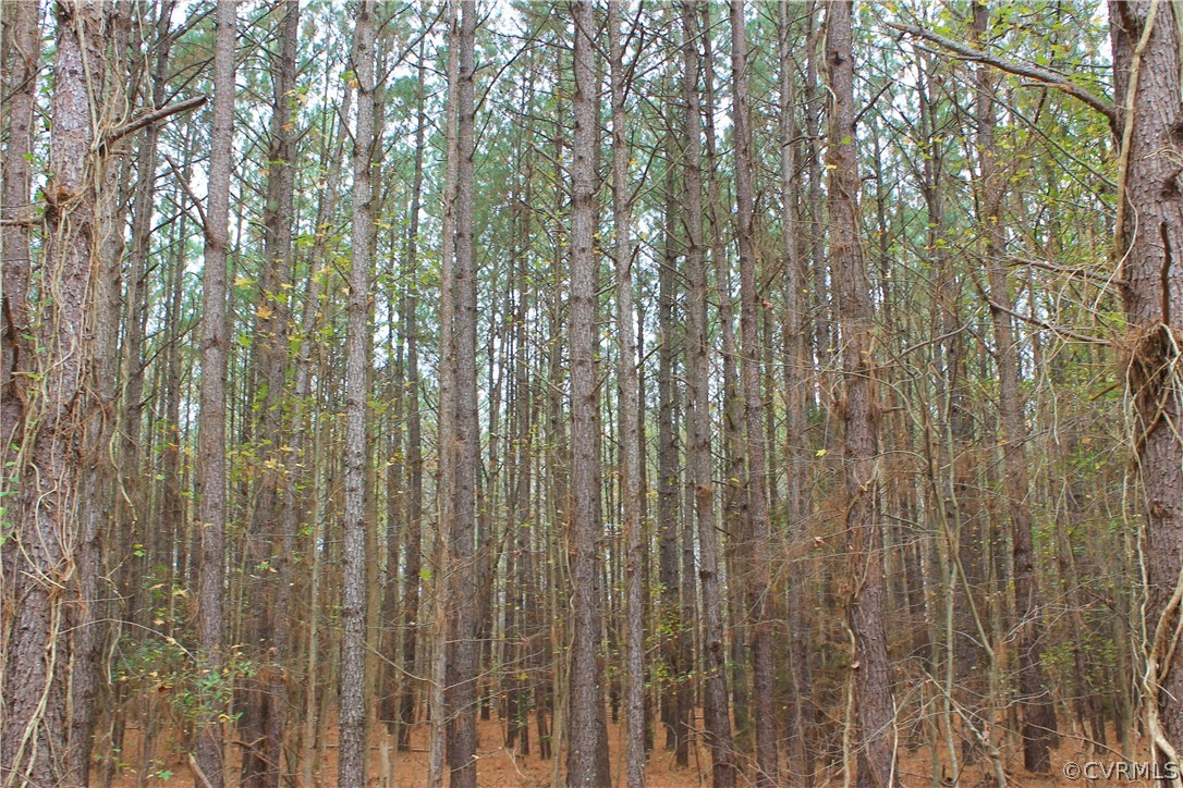 0 Doyle's Lake Road Emporia, VA 23847 - Photo 22 of 50