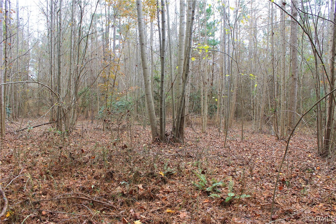 0 Doyle's Lake Road Emporia, VA 23847 - Photo 23 of 50