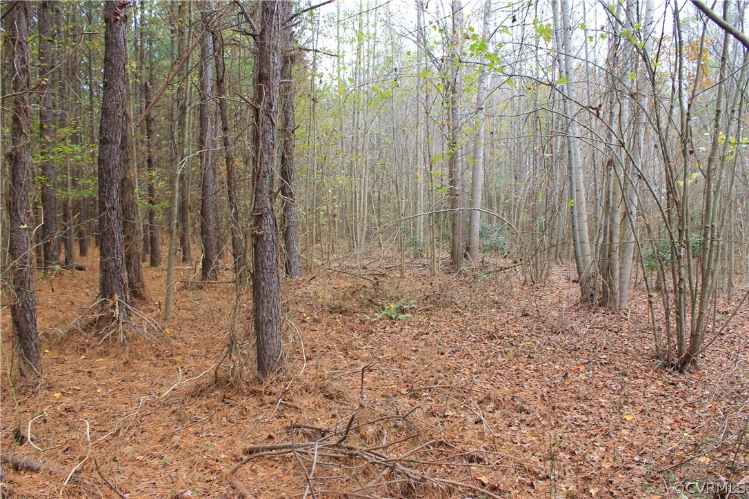 0 Doyle's Lake Road Emporia, VA 23847 - Photo 25 of 50