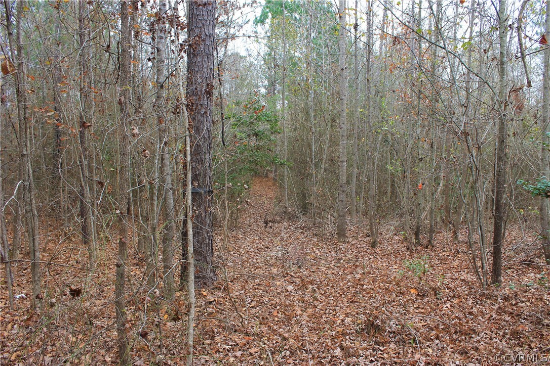 0 Doyle's Lake Road Emporia, VA 23847 - Photo 26 of 50