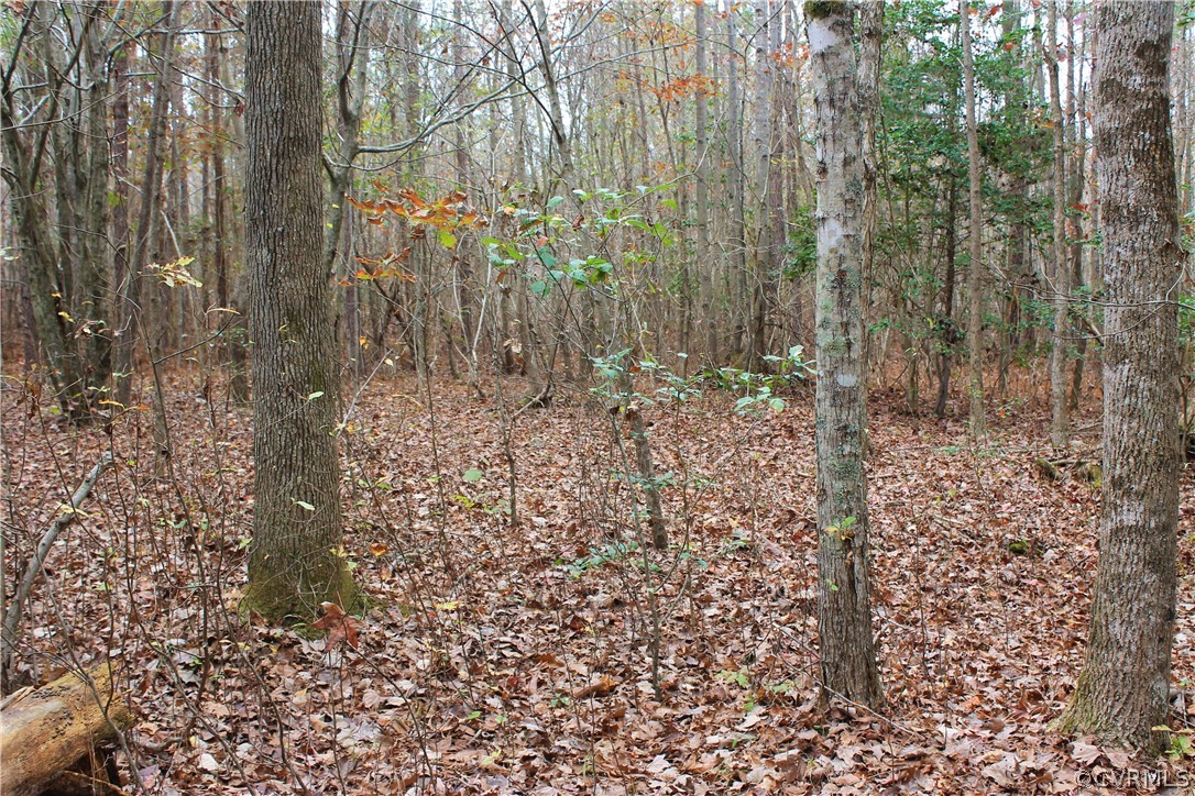 0 Doyle's Lake Road Emporia, VA 23847 - Photo 33 of 50