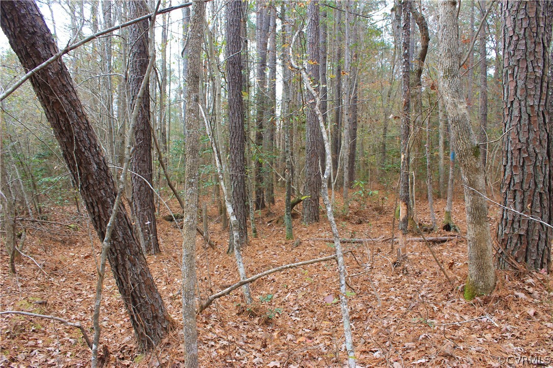 0 Doyle's Lake Road Emporia, VA 23847 - Photo 36 of 50