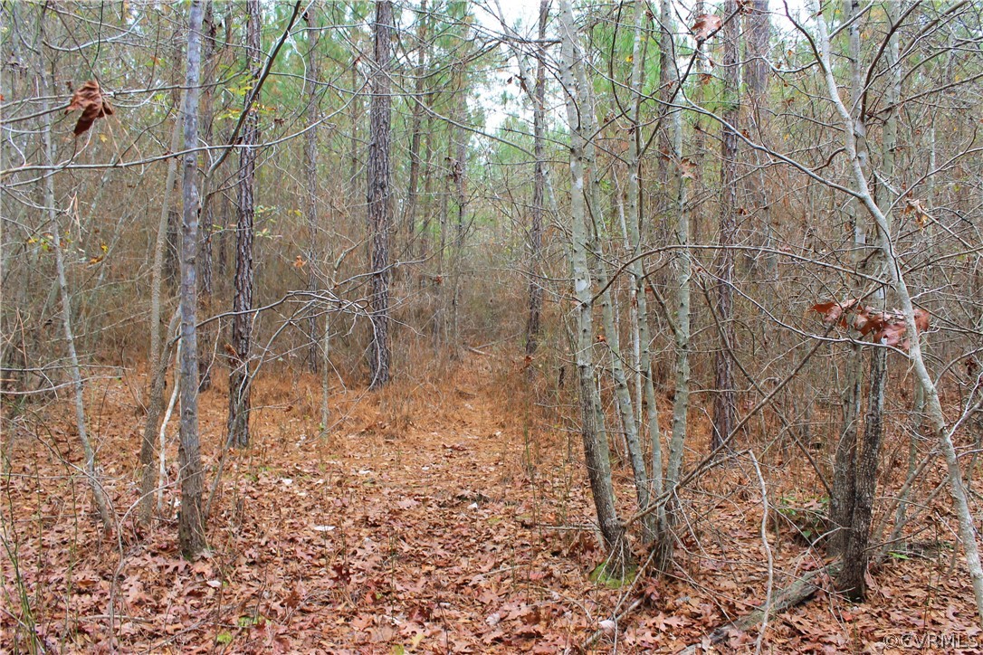 0 Doyle's Lake Road Emporia, VA 23847 - Photo 38 of 50 a view of a dry yard