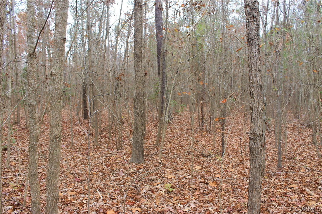 0 Doyle's Lake Road Emporia, VA 23847 - Photo 39 of 50