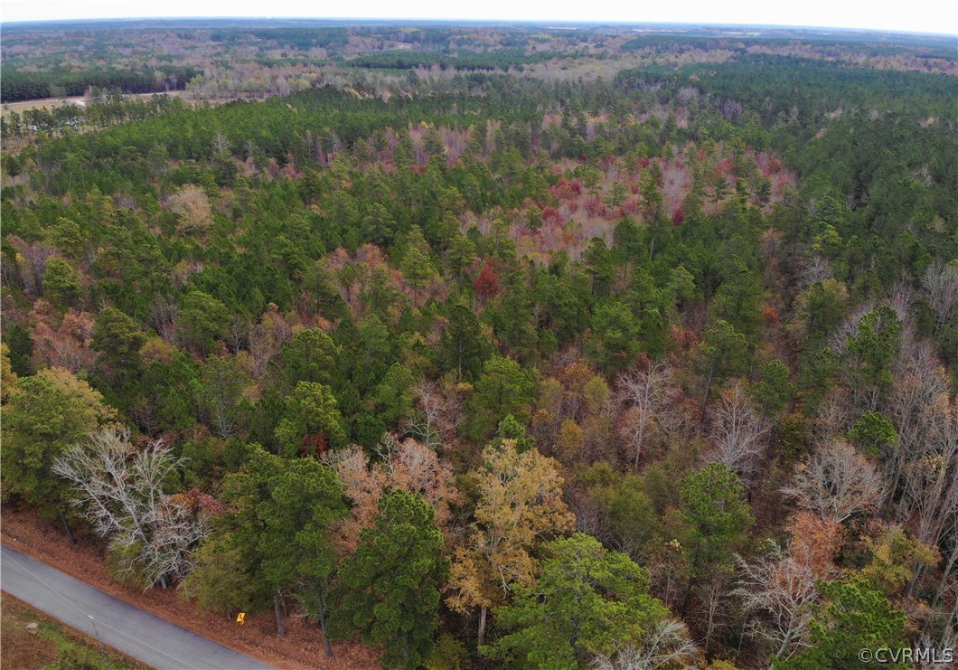 0 Doyle's Lake Road Emporia, VA 23847 - Photo 4 of 50 an aerial view of forest