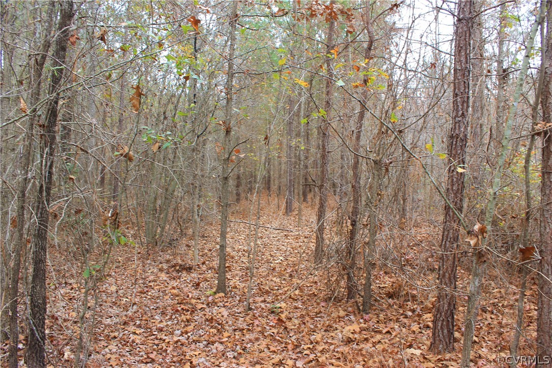 0 Doyle's Lake Road Emporia, VA 23847 - Photo 42 of 50