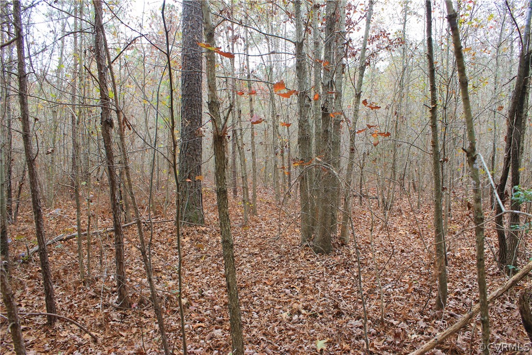0 Doyle's Lake Road Emporia, VA 23847 - Photo 49 of 50
