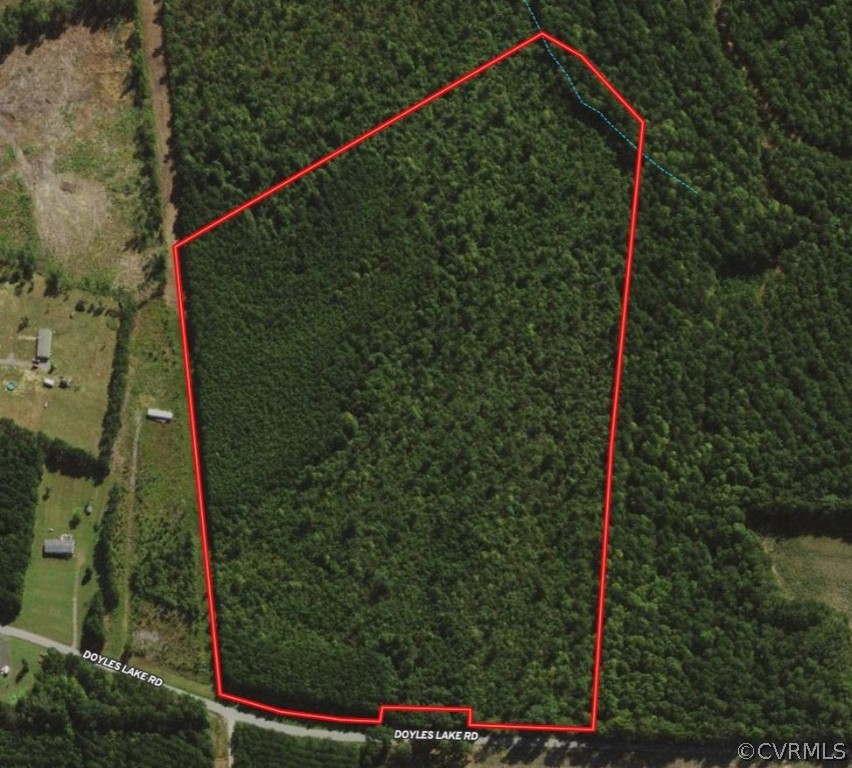 0 Doyle's Lake Road Emporia, VA 23847 - Photo 50 of 50 a view of a yard