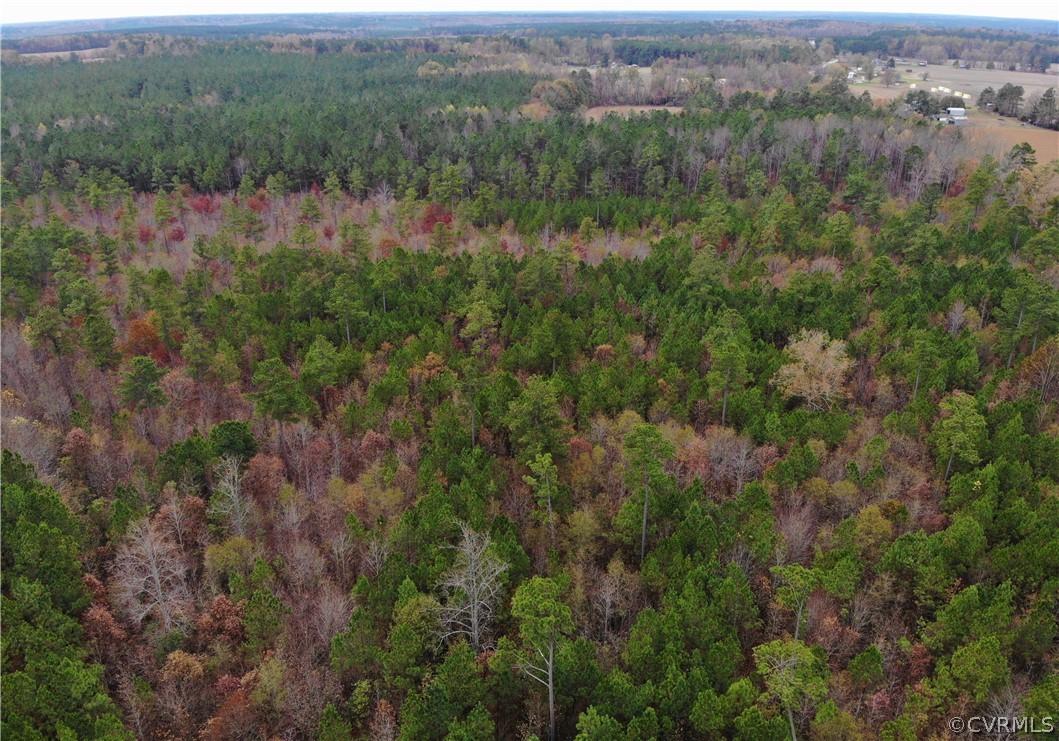 0 Doyle's Lake Road Emporia, VA 23847 - Photo 5 of 50 an aerial view of town with trees and houses