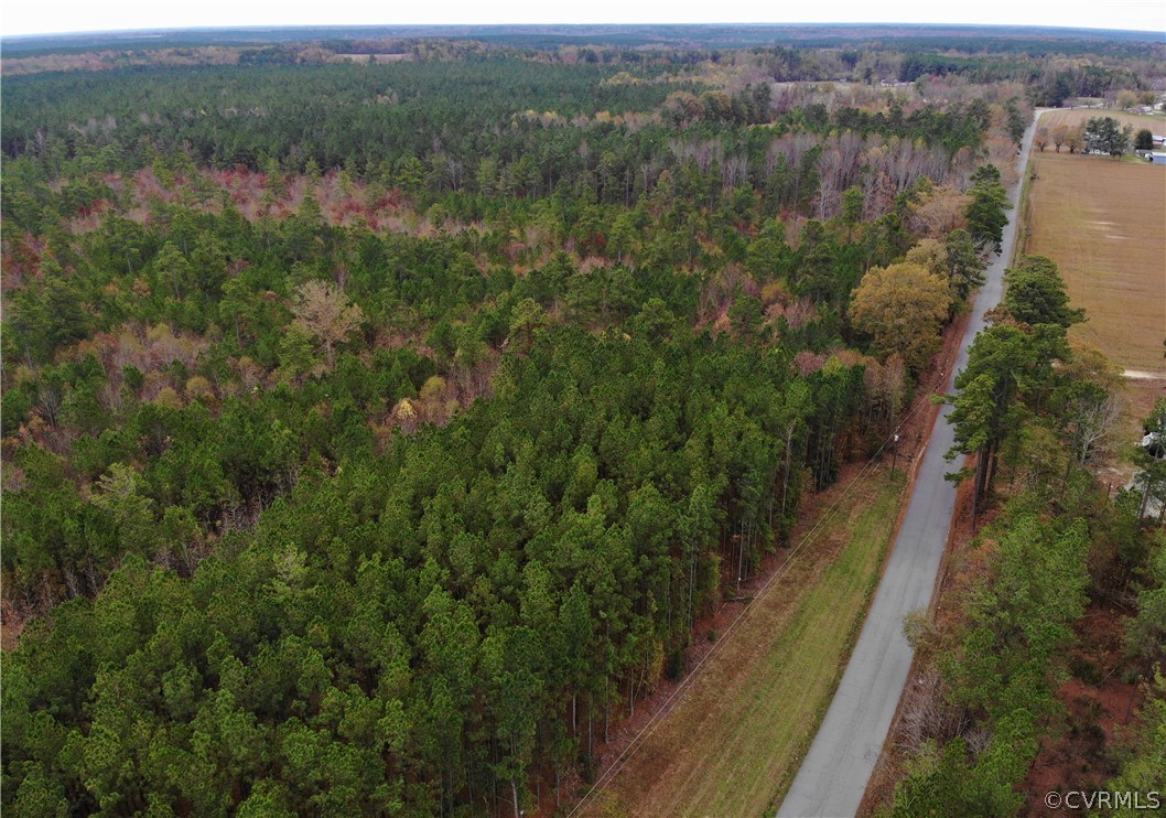0 Doyle's Lake Road Emporia, VA 23847 - Photo 6 of 50