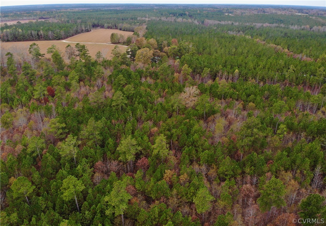 0 Doyle's Lake Road Emporia, VA 23847 - Photo 8 of 50 an aerial view of residential houses with outdoor space and trees