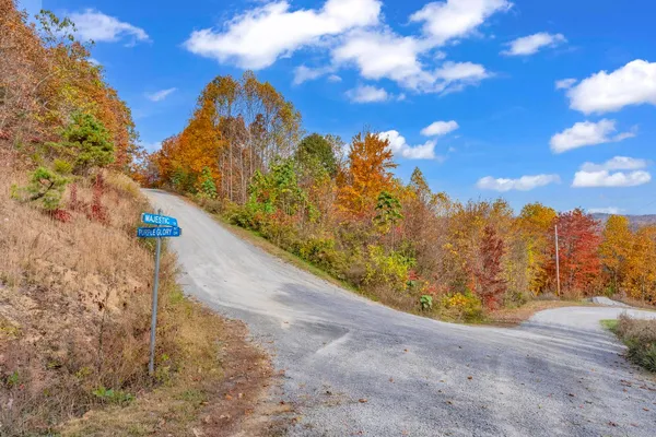 $43,000 | Tbd Majestic Drive, Duffield, VA 24244