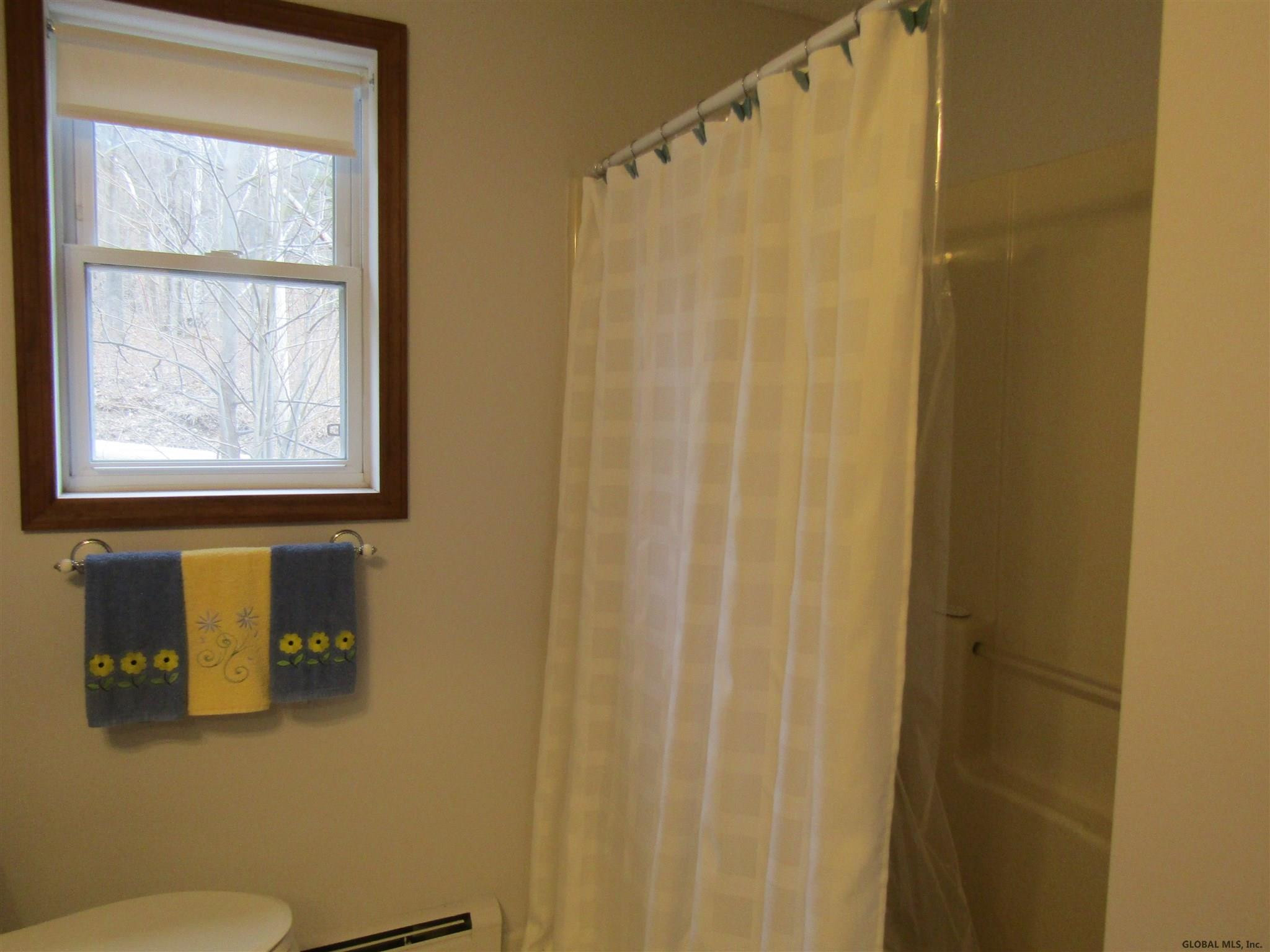 1014 Broome Center Road Broome, NY 12469 - Photo 19 of 36 Photo 19