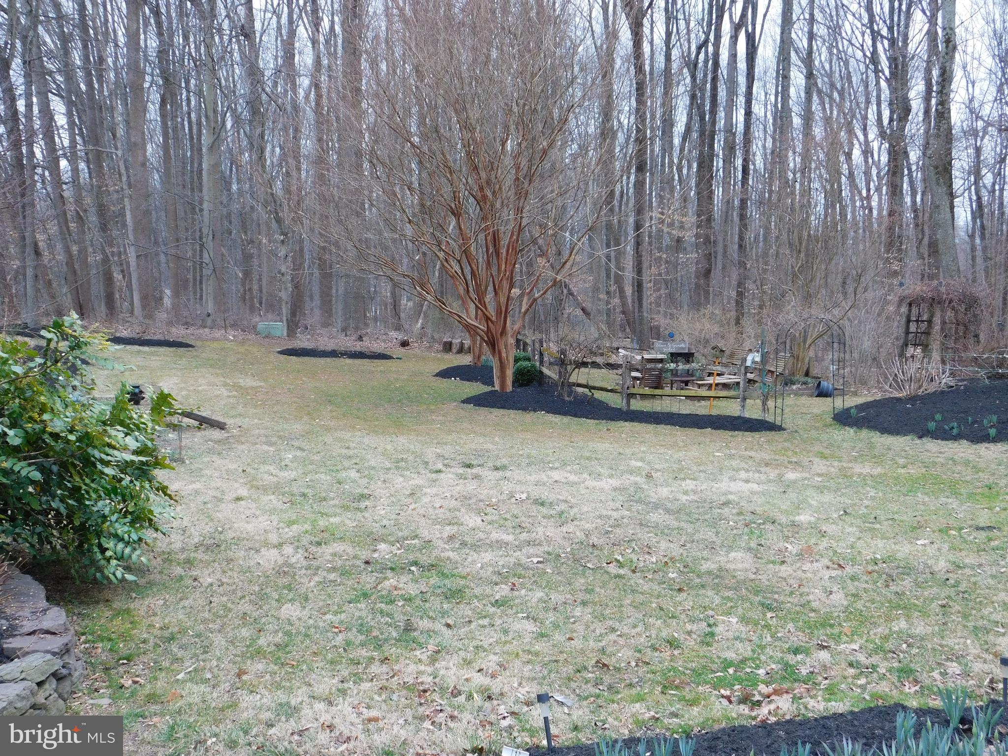 11946 Appling Valley Road Fairfax, VA 22030 - Photo 54 of 58 Surrounded by woods on one side