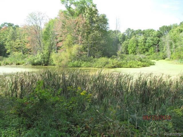 0 Groveland Road Holly, MI 48442 - Photo 3 of 3