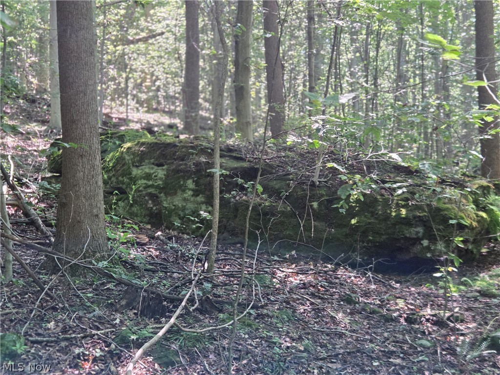 Midvale Mine Road Dennison, OH 44621 - Photo 12 of 16 Gallery Image 12