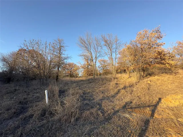 a view of a yard of the house