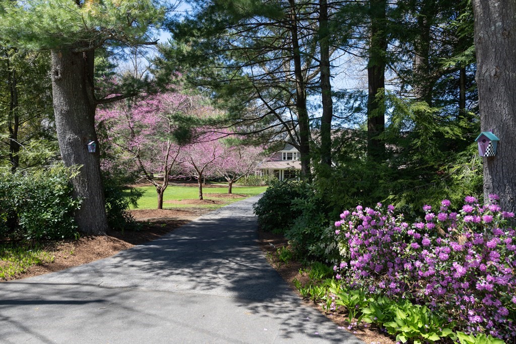 76 Westland Road Weston, MA 02493 - Photo 5 of 42 Gallery Image 5